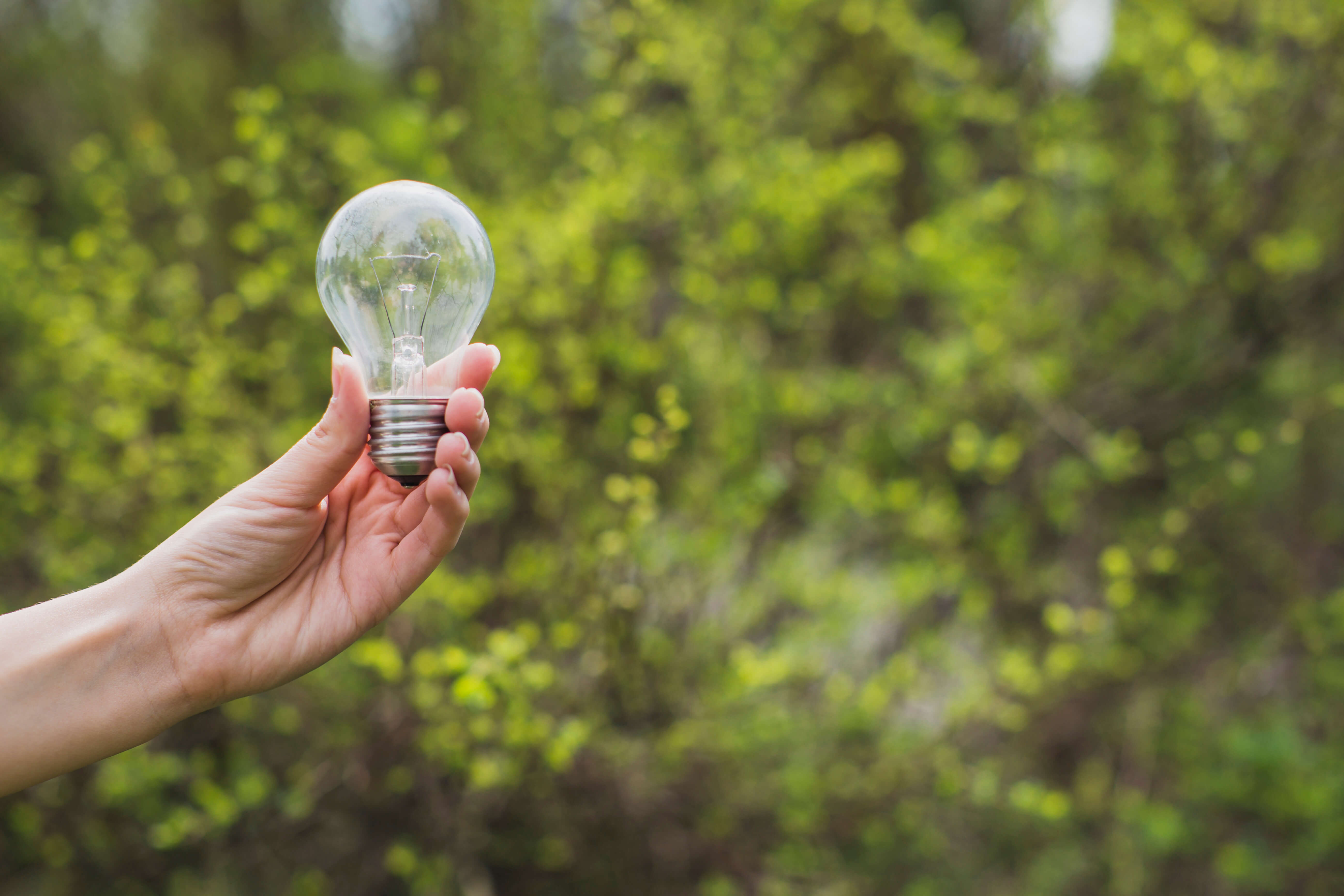 Окружающий свет. Sustainable Light. Баланс картинка. Planting Trees, using long-lasting Light Bulbs saving Water. Hand holding Lighting.